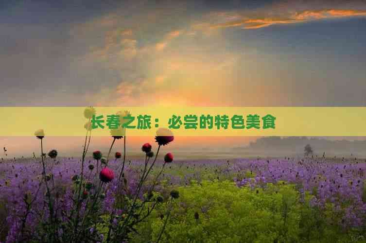 长春美食攻略：必尝的特色美食