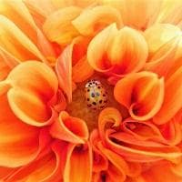 英语频度副词复习要点（大全）