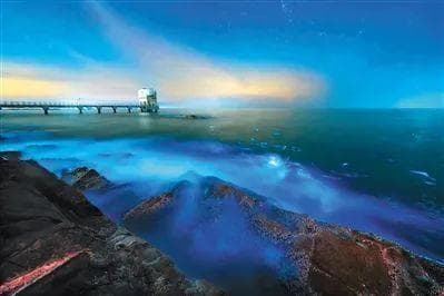 专家解读海南文昌"蓝眼泪"：夜光藻引发的海洋奇观