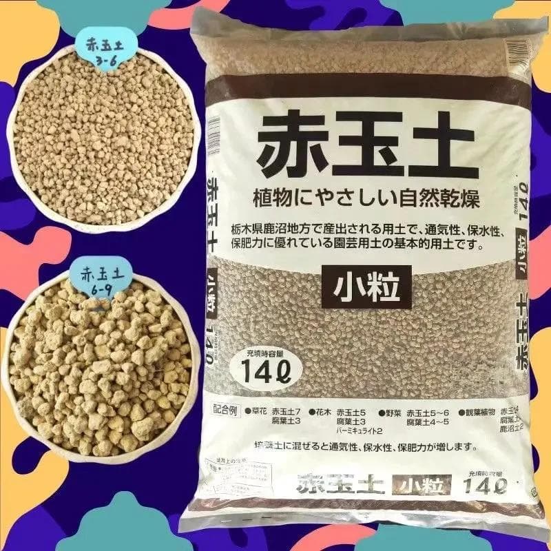 DIY雨林缸：打造家居生机美感的小天地