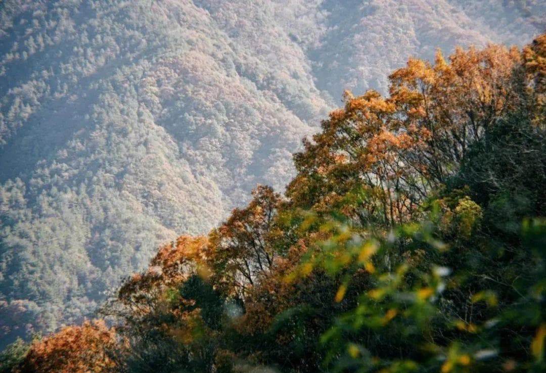 浙江6条“私藏”徒步路线让你“徒”个开心