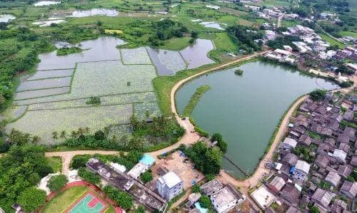 “奔县”游火了！海南这些宝藏县城藏不住了