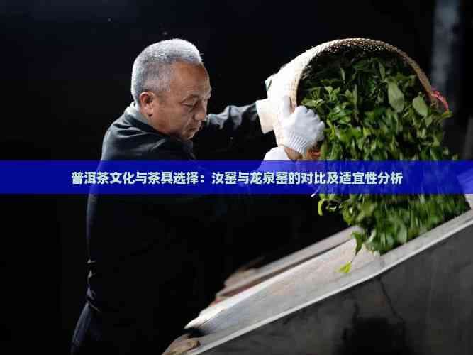 普洱茶文化与茶具选择：汝窑与龙泉窑的对比及适宜性分析