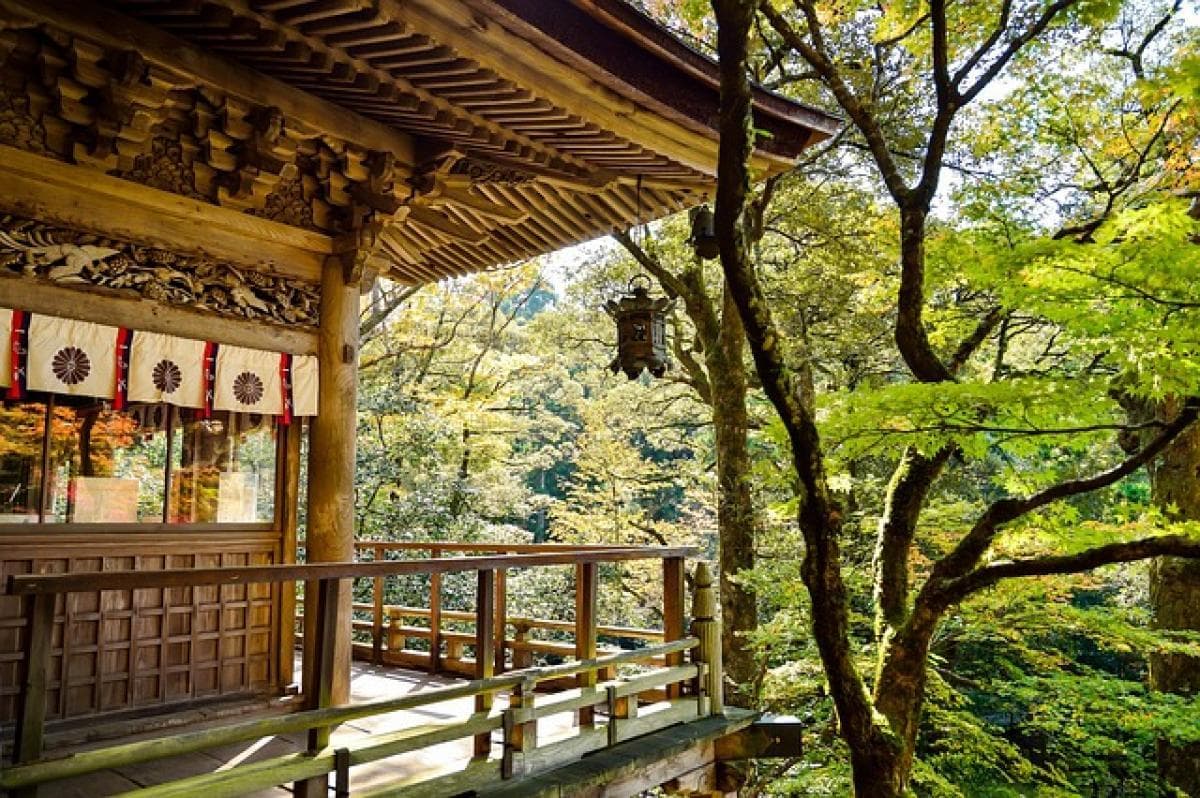 日本黑色代表的文化意义与象征