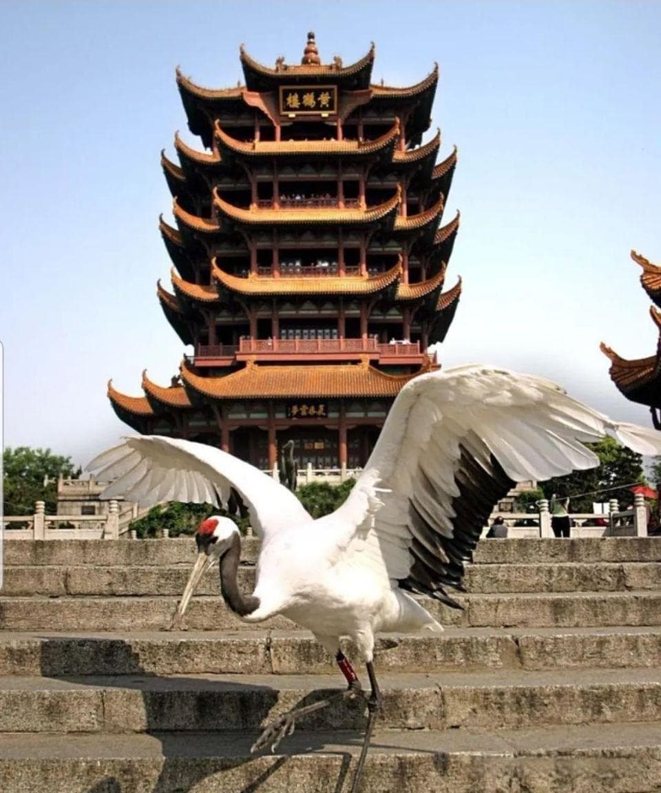 同样是写“黄鹤楼”，毛主席、崔颢、李白谁更胜一筹？
