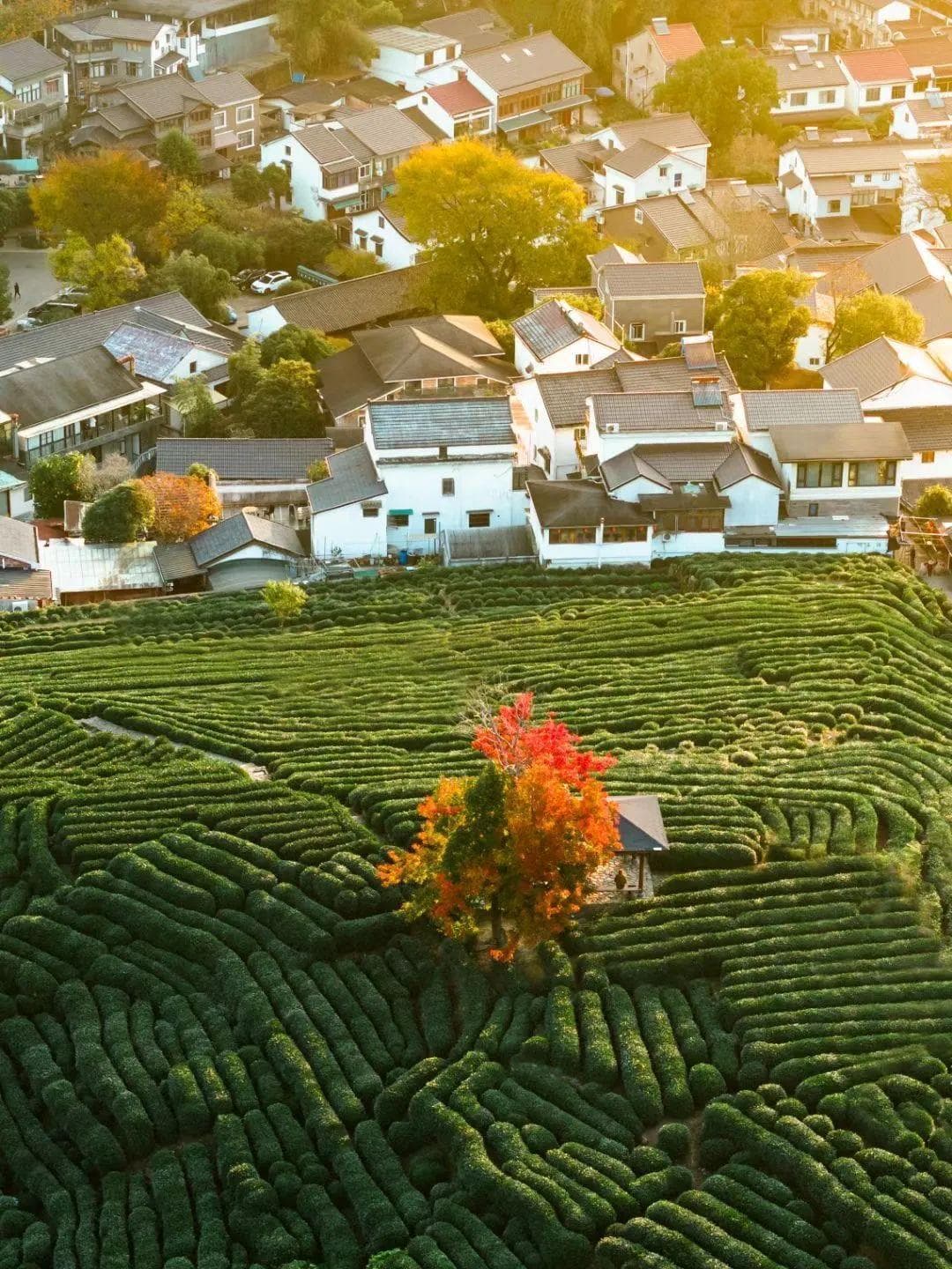 太香了！慢游杭州的宝藏玩法！附送几个冷门经典路线