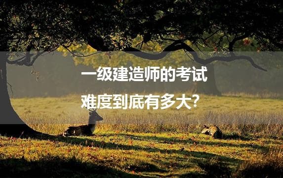一级建造师考试难度到底有多大？