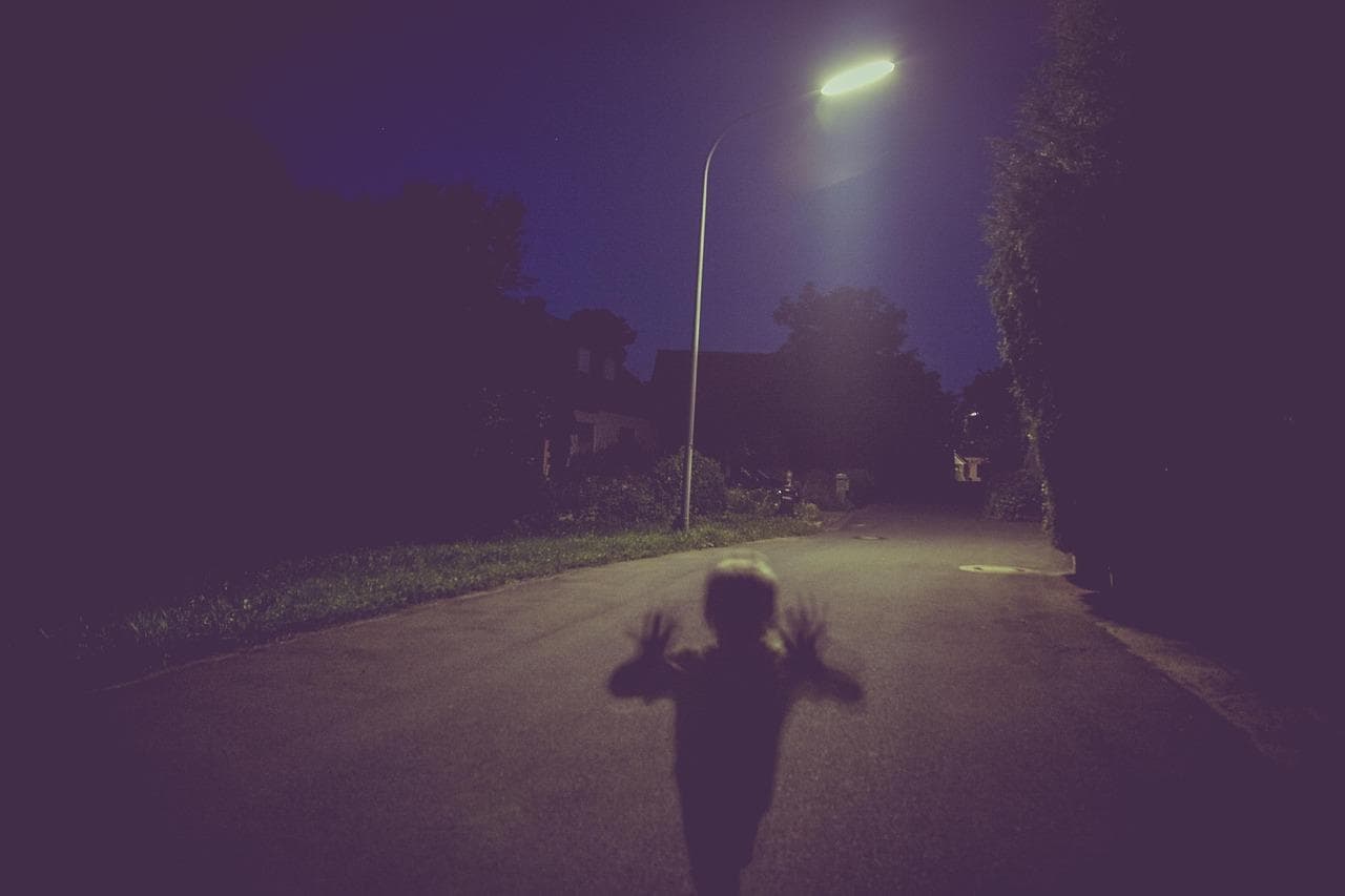 揭露吸血鬼世界的神秘面纱