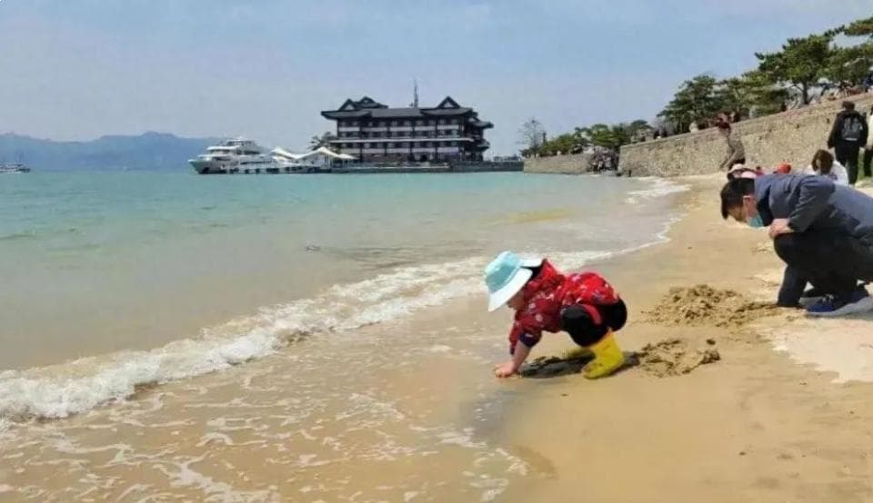 走！去海滩开盲盒！威海赶海全攻略