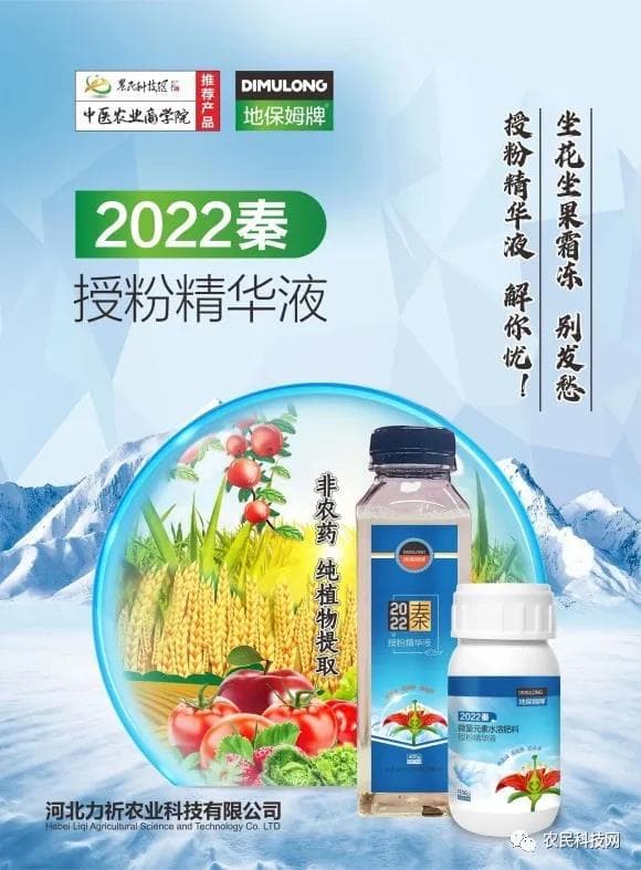 腐殖质的力量可以让土壤焕发生机！