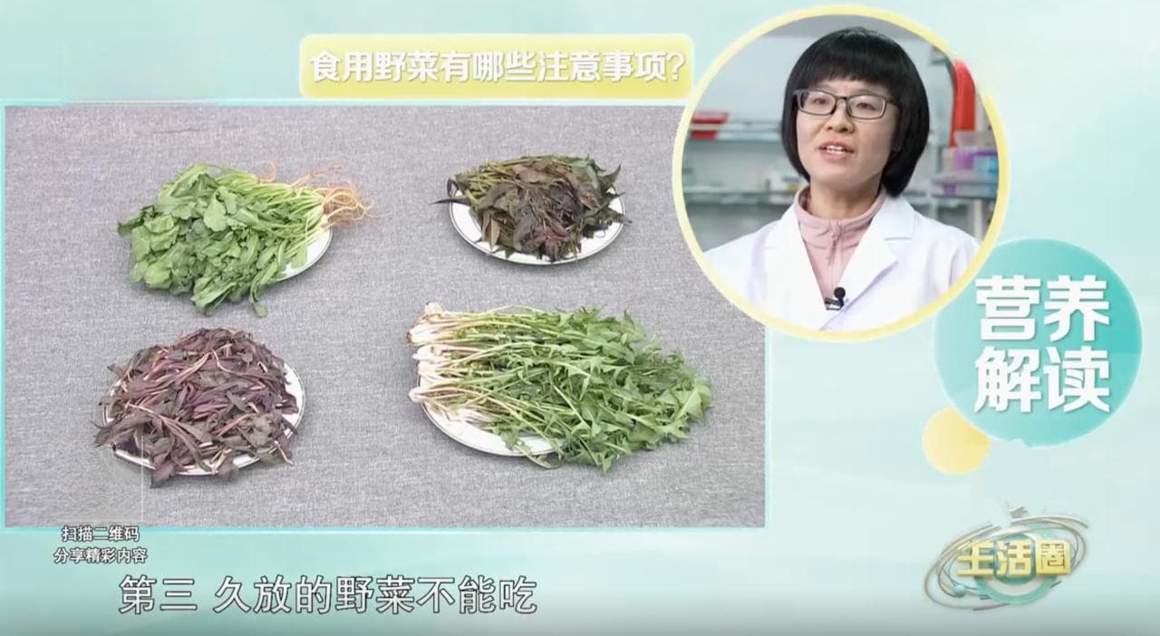 春天推荐吃这4种野菜 如何正确食用？请收藏