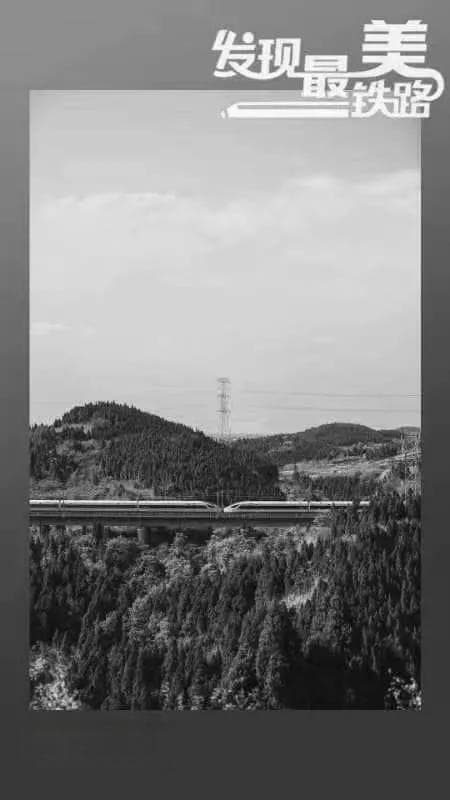 发现最美铁路：西成高铁穿越山岭，让诗和远方近在咫尺