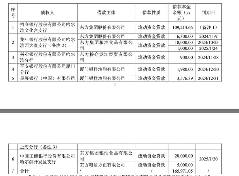 东方集团被定性“涉嫌重大财务造假”一字跌停，金融机构百亿贷款受波及