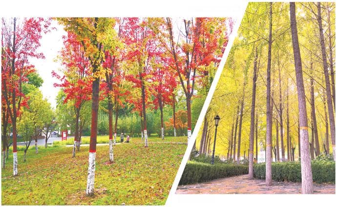 奋力推进公园城市建设 打造人与自然和谐共生高度融合的美丽郑州