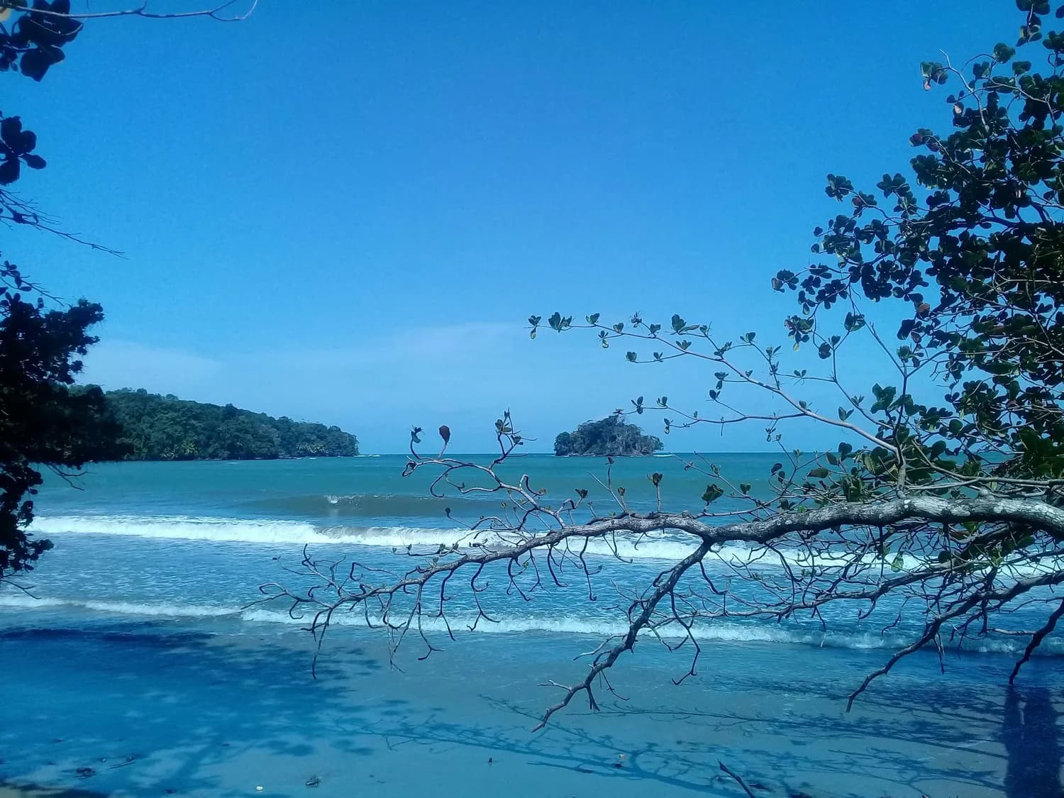 陵水必打卡景点推荐：从清水湾到南湾猴岛，尽享阳光海浴与水上运动