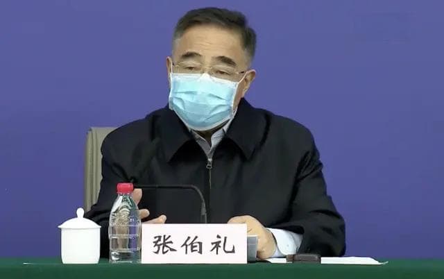中医药治疗新冠病毒的“三药三方”：功效与临床应用