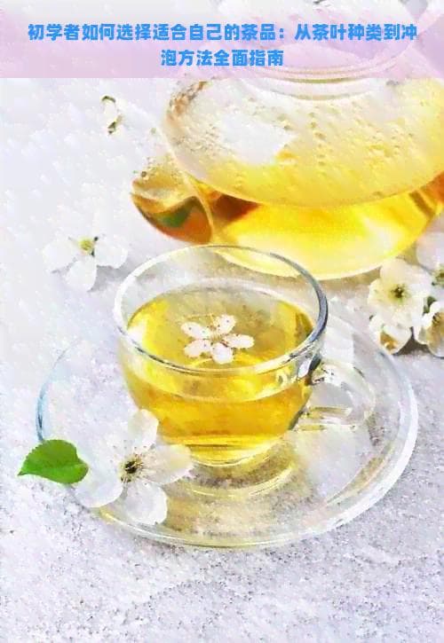 初学者如何选择适合自己的茶品：从茶叶种类到冲泡方法全面指南