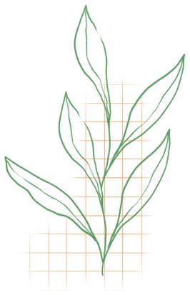 西北政法大学《西部法苑》学生法学学术期刊招新
