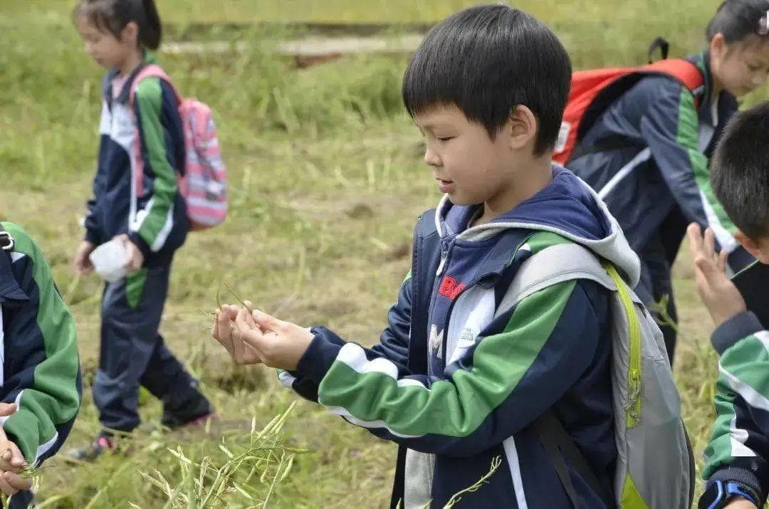 生命化劳动教育的价值与课程的开发