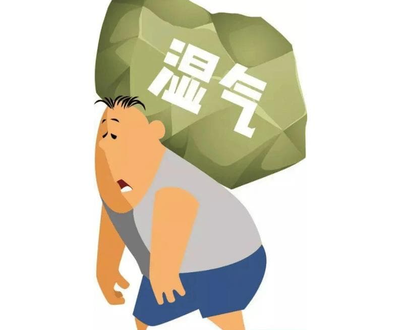 中医祛湿全攻略：五种疗法改善湿气困扰