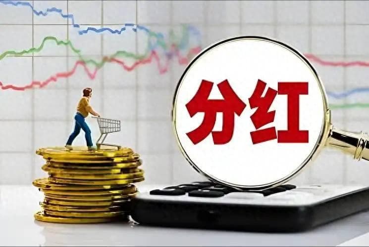 我国历史上累计分红最多的十大公司：业务稳健，市场基石