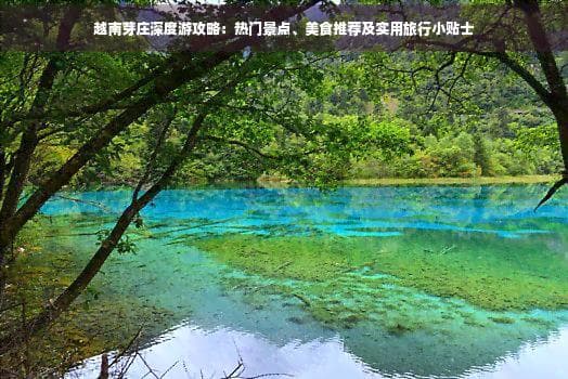 越南芽庄深度游攻略：热门景点、美食推荐及实用旅行小贴士