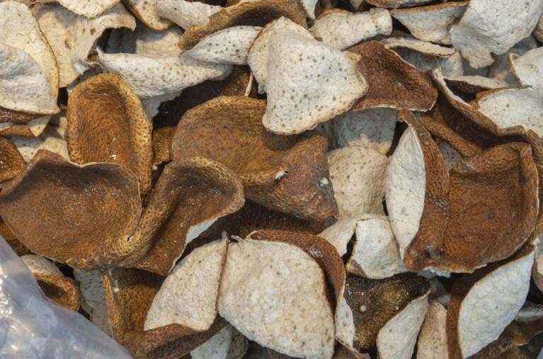 咳嗽、痰多人士可饮？编辑拆解陈皮水功效禁忌、推荐5个陈皮汤水/茶水/食谱