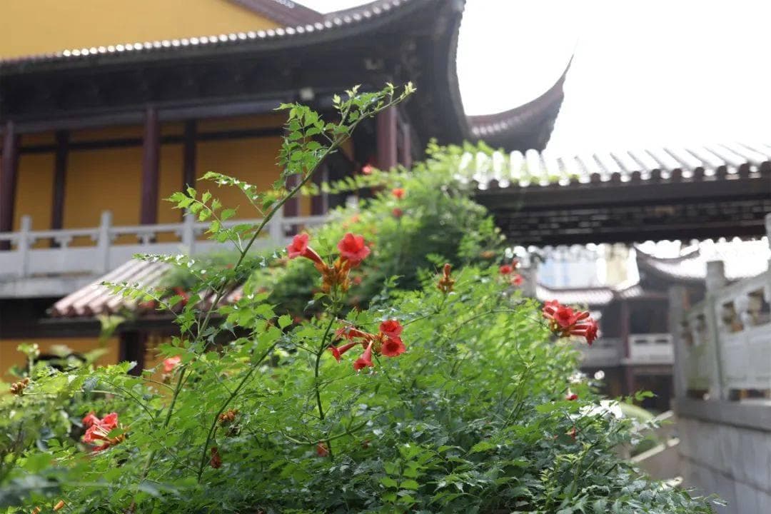 憨山大师：至诚念佛，自心清净