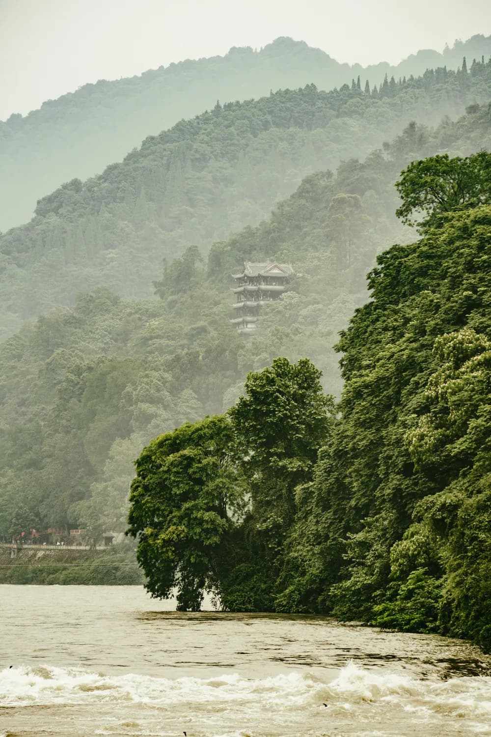 都江堰·青城山免票啦！春节出游攻略在此！