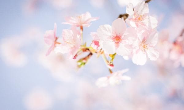 春秋战国的时代特征及其历史分期