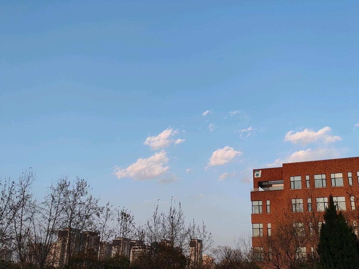 大学生如何缓解学习压力