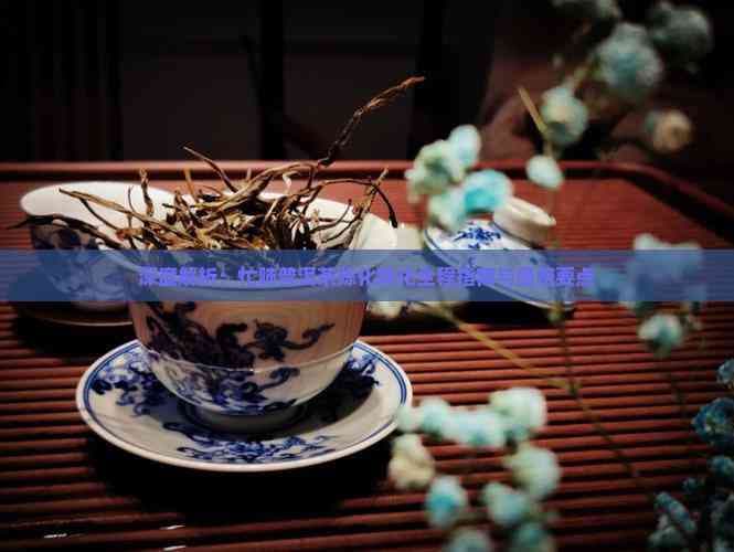 深度解析：忙肺普洱茶陈化转化全程指南与品鉴要点
