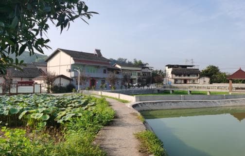 五措并举 合川区土场镇乡村振兴见实效！