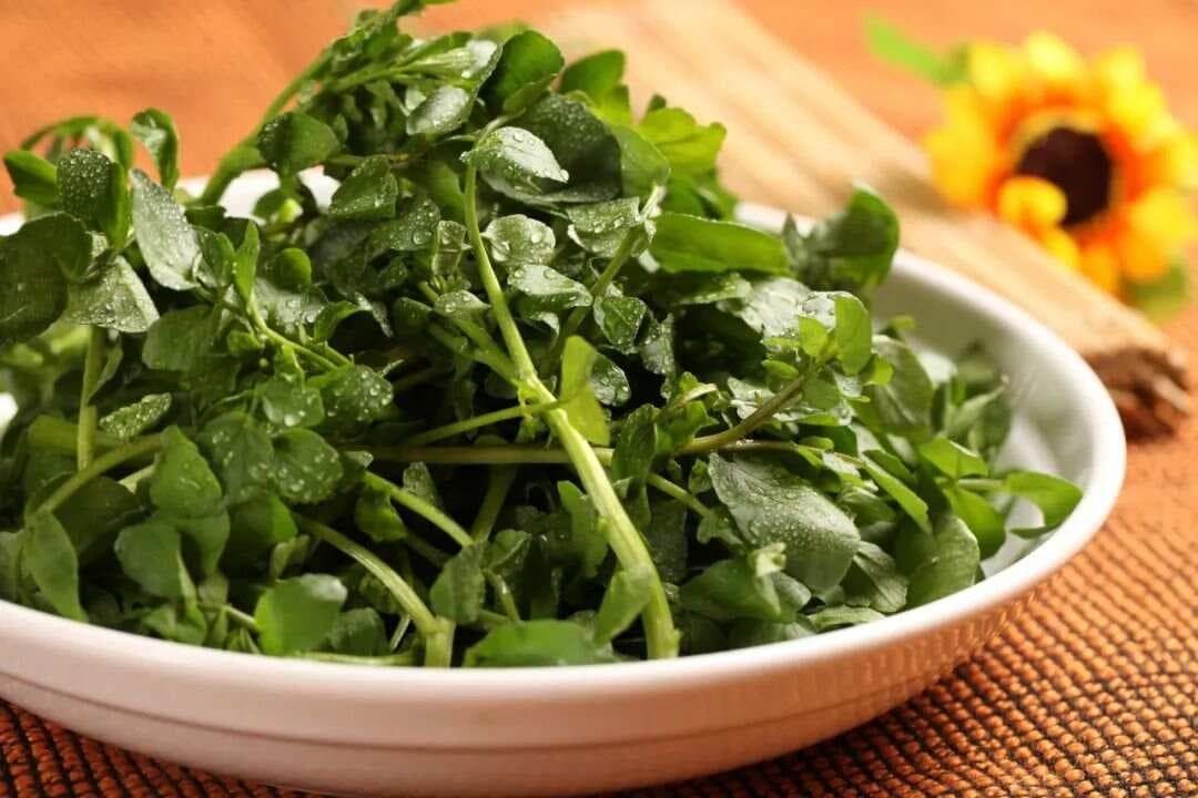 CDC最新研究：西洋菜营养价值超群，三款食疗方推荐