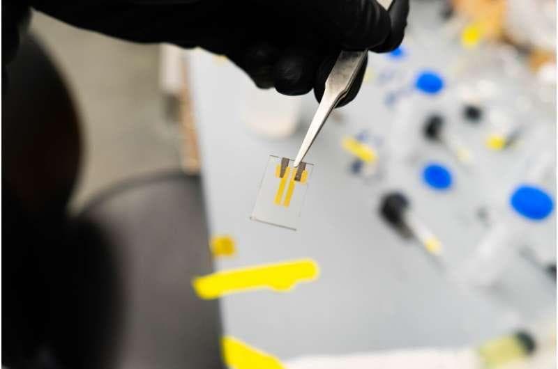 有机电化学晶体管将生物电子传感器的灵敏度提高了三个数量级