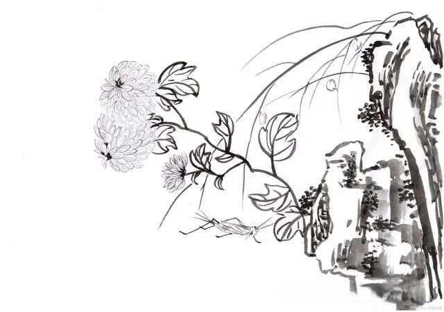 国画白描入门教程
