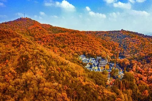 读经典诗词 品美丽江苏⑨|一座栖霞山，半部金陵史