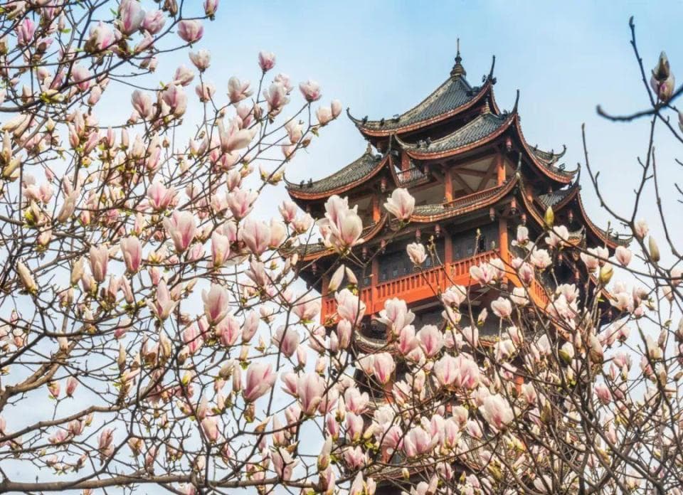 成都适合晒太阳的免费公园！大部分人少景美！