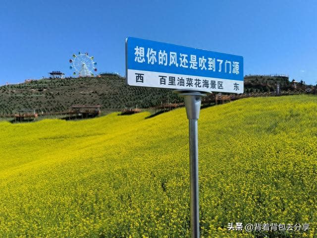门源百里油菜花海游玩攻略：青海最美的十大景观之一