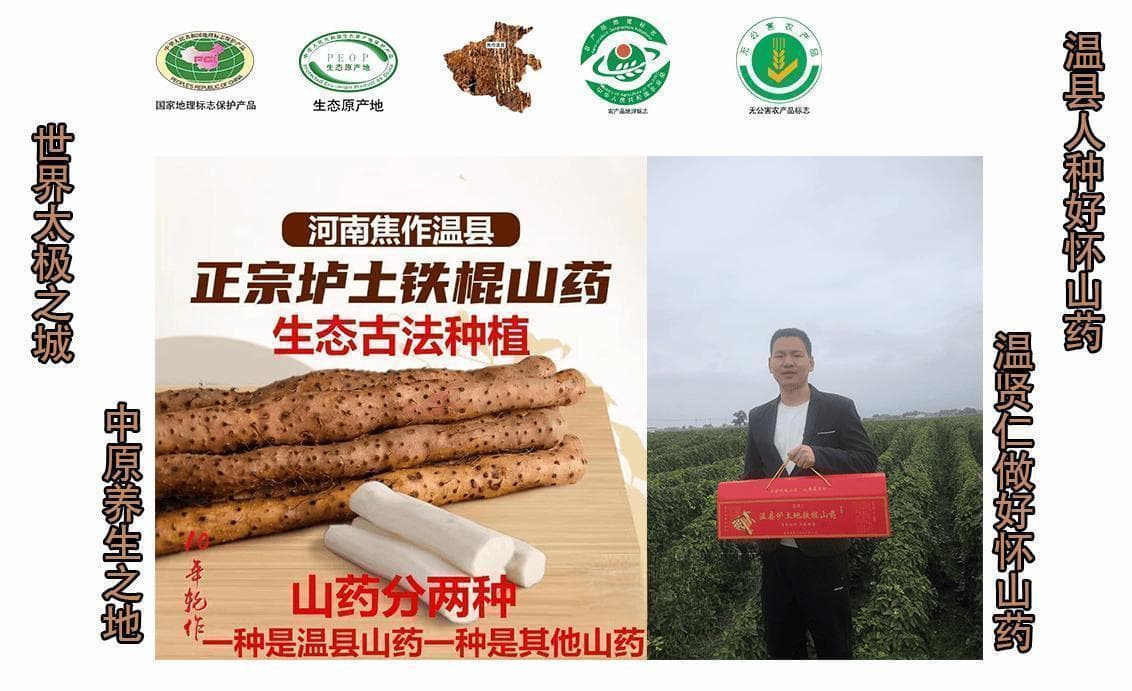 铁棍山药和普通山药有什么区别？正宗温县垆土铁棍山药功效与作用，营养丰富