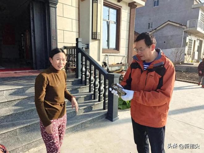 澧县小渡口镇：暖心救助 受伤猫头鹰重归大自然
