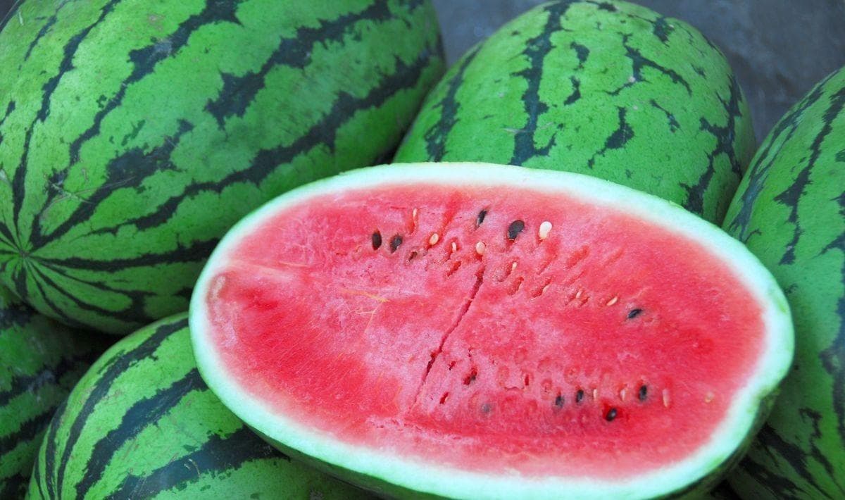 在新疆，过一个“西瓜味”的夏天