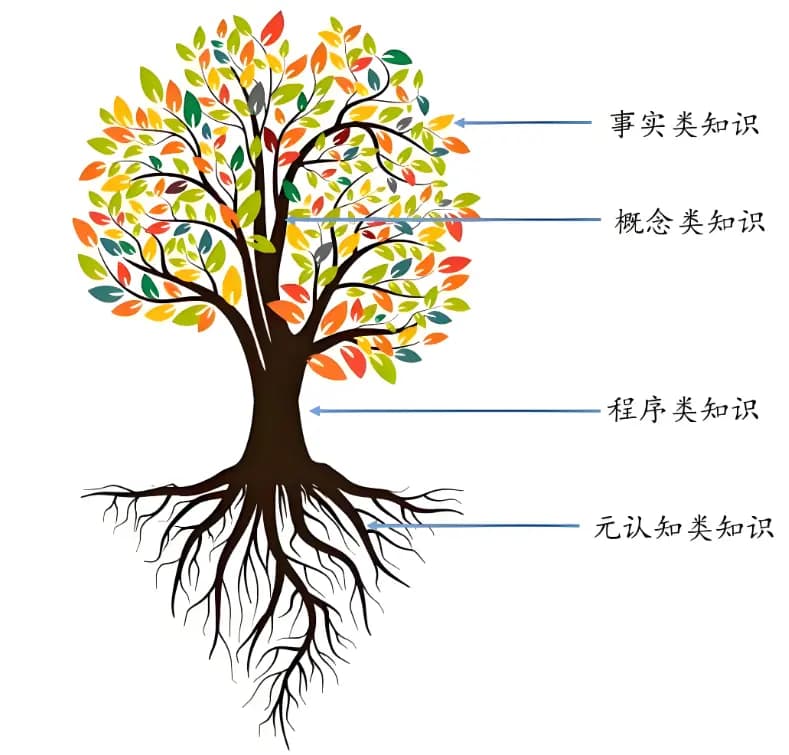 知识的四个维度：事实、概念、程序、元认知