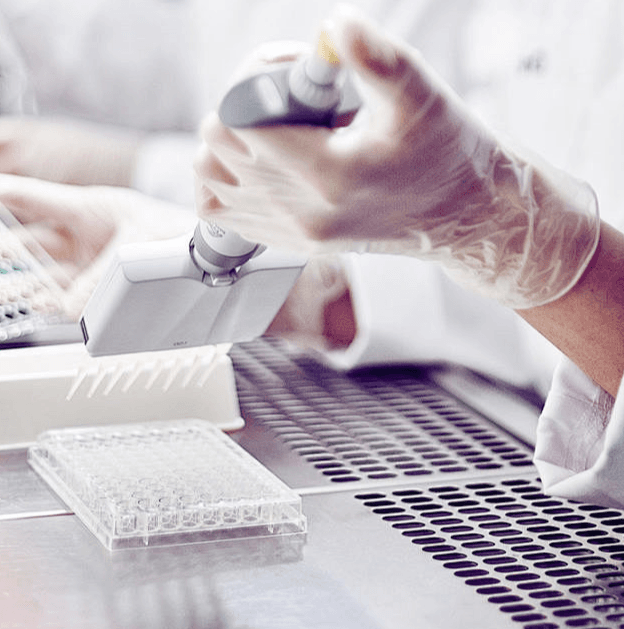 深入解析干细胞自我更新的信号调控机制及其在再生医学中的应用前景