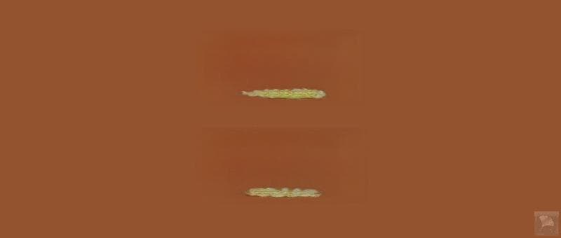 养血调肝，试试这三味中药