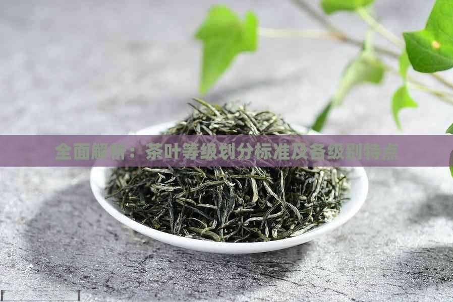 全面解析：茶叶等级划分标准及各级别特点