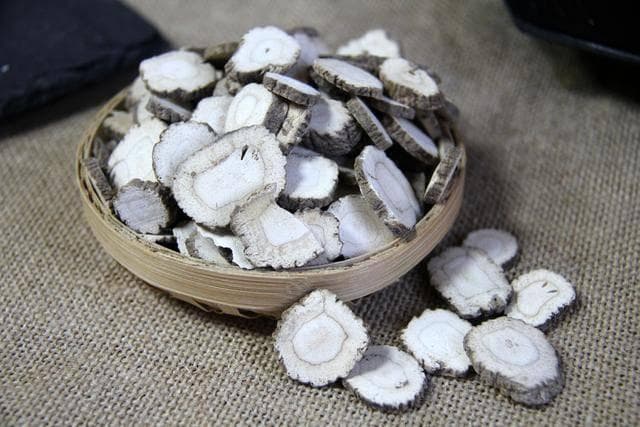 瑞龙中药大讲堂｜河南道地药材白芷