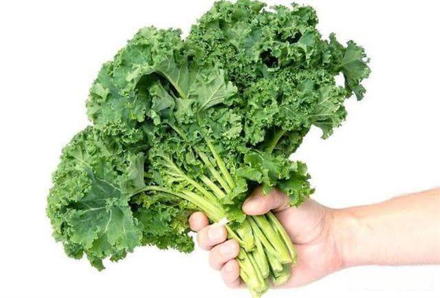 维生素C含量是菠菜4.5倍，羽衣甘蓝的营养与食用全攻略