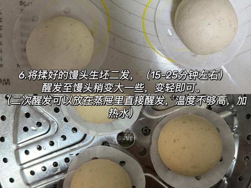 鲁邦种/天然酵母馒头制作教程