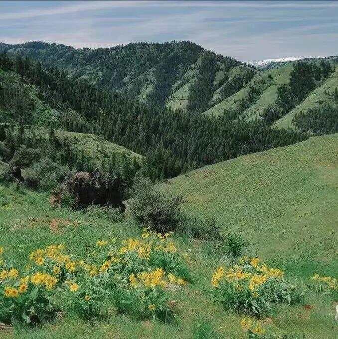 陈老精析六味地黄丸组方原理（附与补中益气汤对比）
